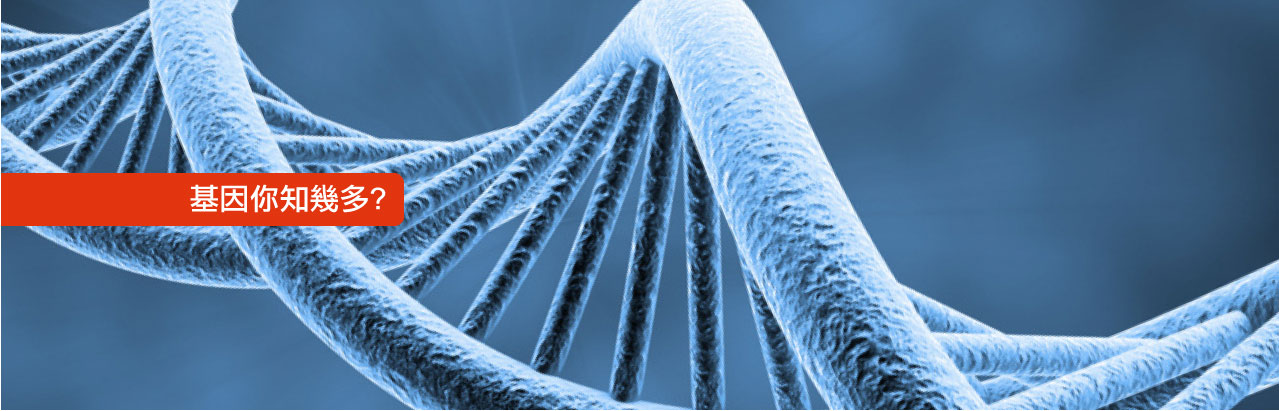 基因及DNA